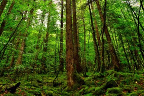 世界登山青年公益项目：山区学校孩子参与攀登体验受益良多，2020年登山比赛活动方案