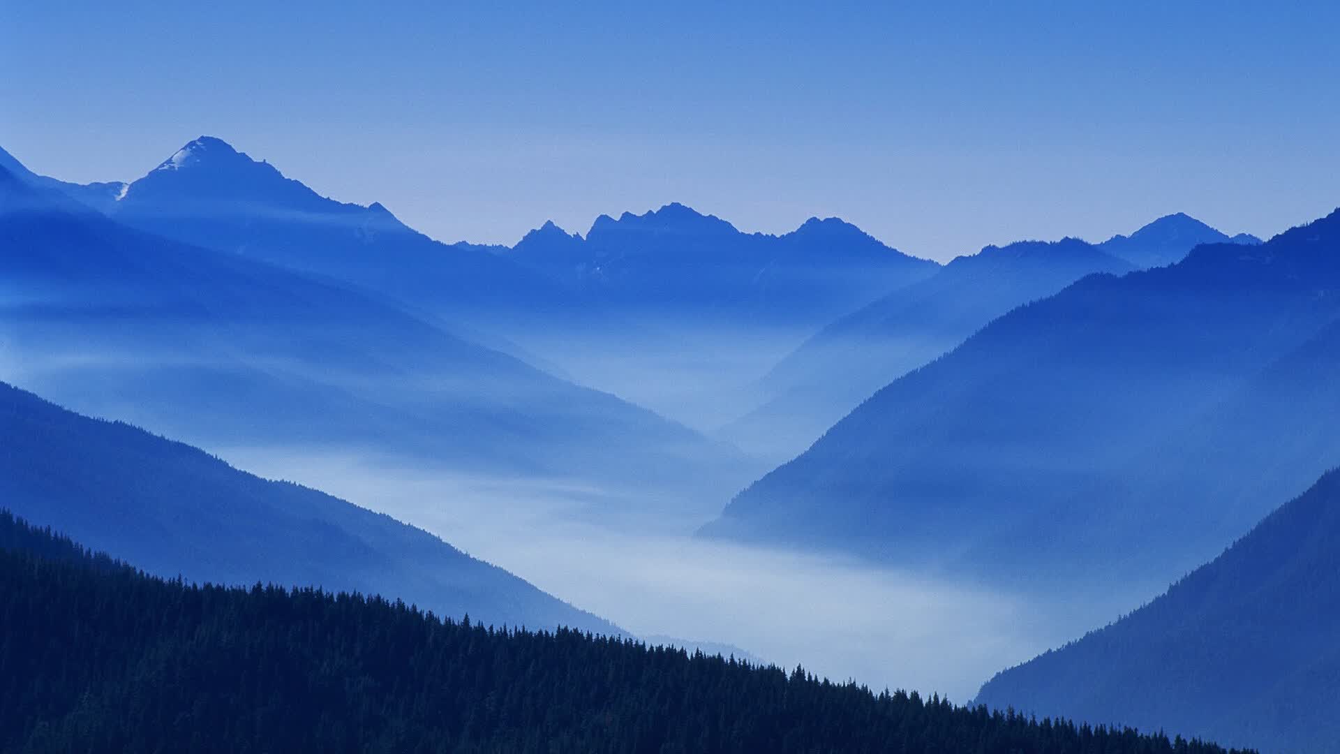 世界举重公开赛争议成绩经复核确认，世界举重锦标赛